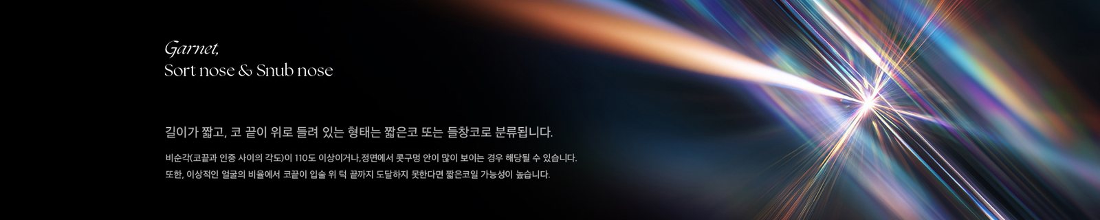 Garnet, Sort nose & Snub nose 길이가 짧고, 코 끝이 위로 들려 있는 형태는 짧은코 또는 들창코로 분류됩니다. 비순각(코끝과 인중 사이의 각도)이 110도 이상이거나,정면에서 콧구멍 안이 많이