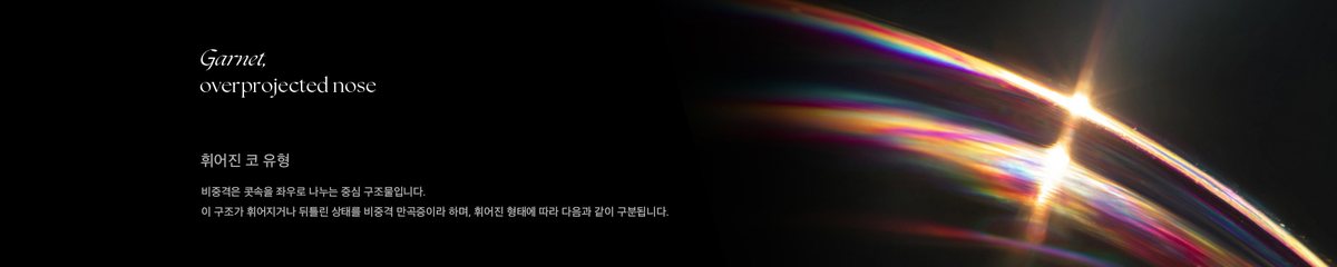 Garnet, overprojected nose 휘어진 코 유형 비중격은 콧속을 좌우로 나누는 중심 구조물입니다. 이 구조가 휘어지거나 뒤틀린 상태를 비중격 만곡증이라 하며, 휘어진 형태에 따라 다음과 같이 구분됩니